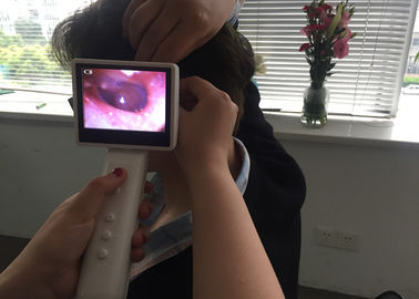 720 x 480 medizinischer Digital-Ohr-Videokamera-Ophthalmoskop Otoscope-Satz für menschlichen oder Veterinärgebrauch