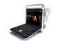4 Farb-Doppler-Ultraschall-Scanner D 15 Zoll-LED Diagnose- mit dem 2 Sonden-Verbindungsstück