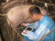 5,7&quot; Handveterinärultraschall-Scanner-Gerät mit Li - Ionenbatterie für Tier