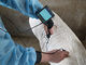 Digital-medizinischer Veterinärultraschall-Scanner mit 3,5-Zoll-Bildschirm und Frequenz von Porbe 2.5M 3.5M