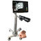 Infrarotkamera-Darstellungs-Infrarotader, die Gerät-Sicherheit ohne Laser für Krankenhaus und Klinik lokalisiert