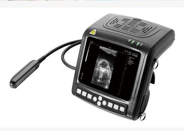Handtierarzt B/w-Ultraschall-Scanner-Diagnoseausrüstungs-multi- Frequenz prüft