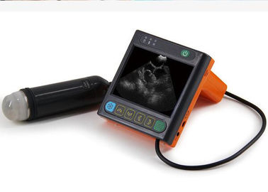 Sektor-Tierarzt-Ultraschall-Scanner Digital mechanischer für Schwein-Schäferhund-nur Gewicht 620g