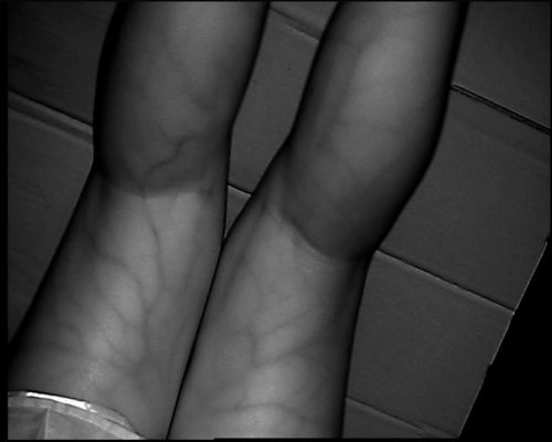 Tabellen-Art Ader-Verzeichnis-Gerät der hohen Auflösung 800X480 mit Schirm 3.5Inch für Handarm-Bein