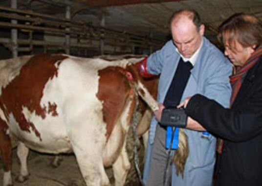 Digitaler Veterinär-Ultraschallscanner