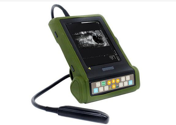 Mini-Veterinär Ultraschall-Scanner