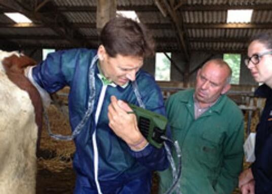 Mini-Veterinär Ultraschall-Scanner